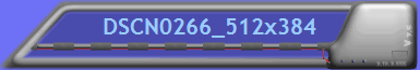 DSCN0266_512x384