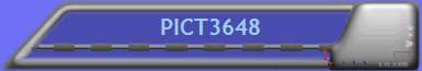 PICT3648