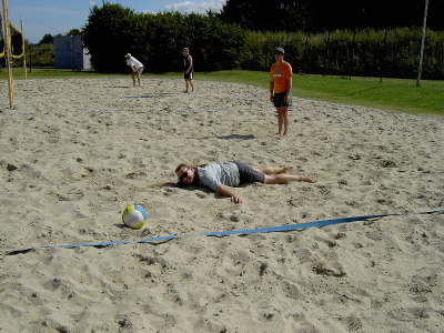 MartinundRolfalssterbenderSchwan